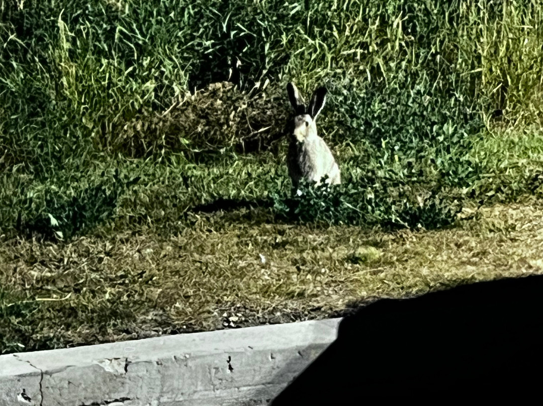 Hampton Inn & Suites by Hilton Edmonton St. Albert主图