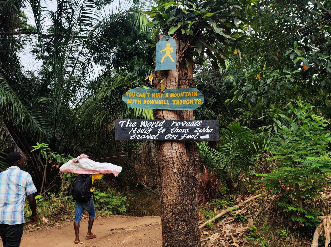 Chizua Waterfalls  Mikumi National Park-米库米国家公园必去景点