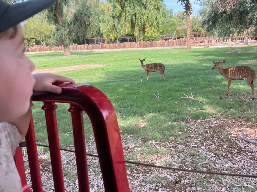 Wildlife World Zoo and Aquarium-Litchfield Park必去景点