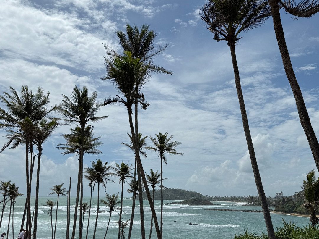 Private Tour Drivers Srilanka-卡图纳耶克必去景点