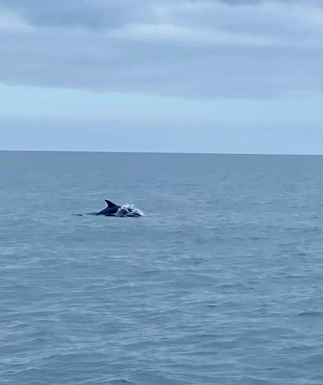 Mevagissey to Fowey Ferry-梅瓦吉西必去景点