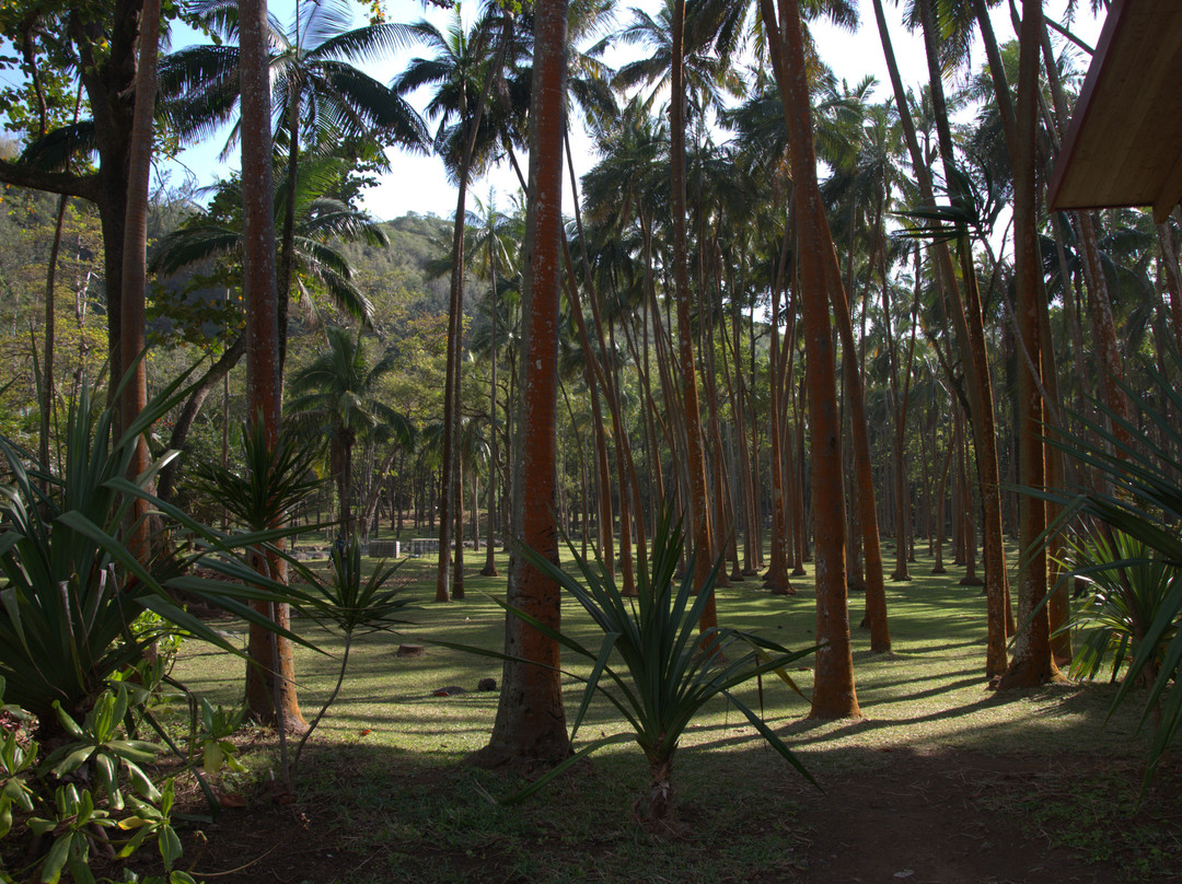 Anse Des Cascades-圣罗斯必去景点