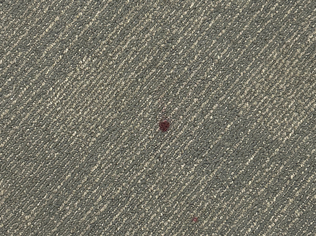 Quality Hotel Sherbourne Terrace主图