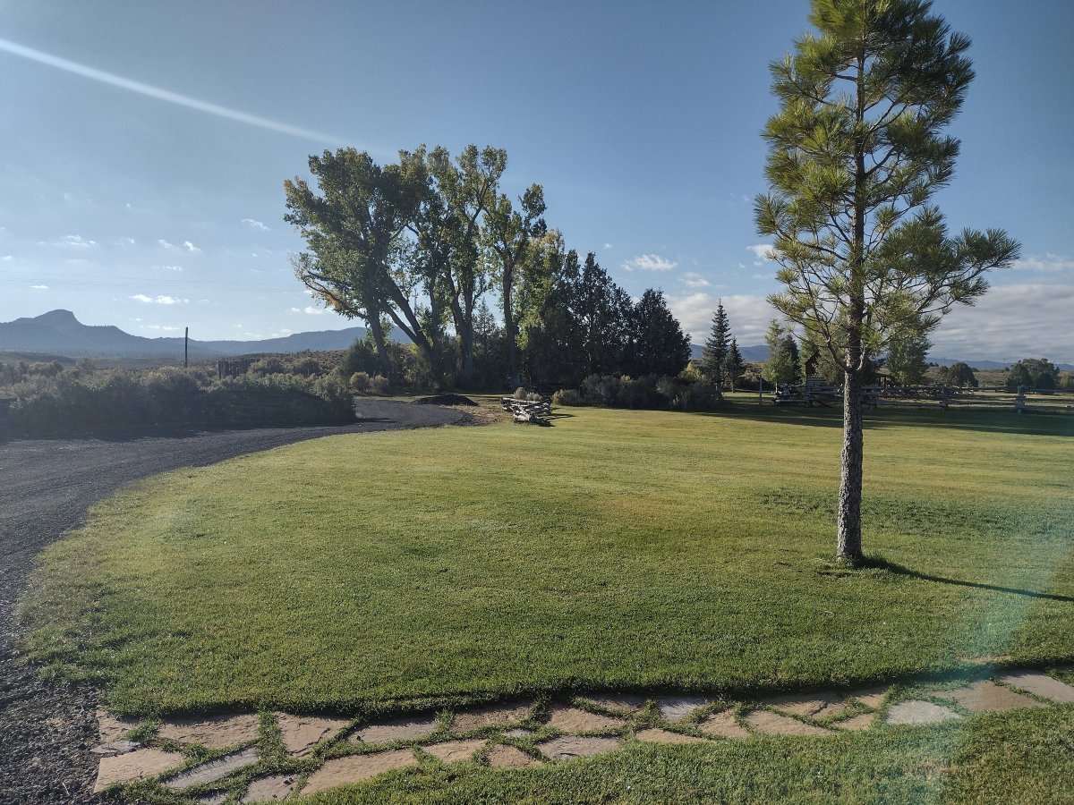 Cottonwood Meadow Lodge-酒店景观