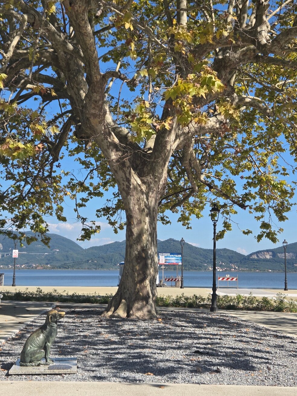 Hotel Butterfly-官方