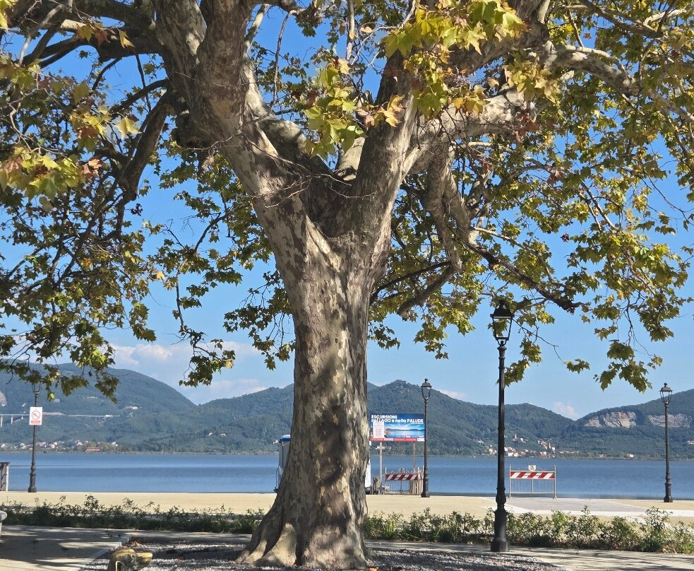 Hotel Butterfly主图