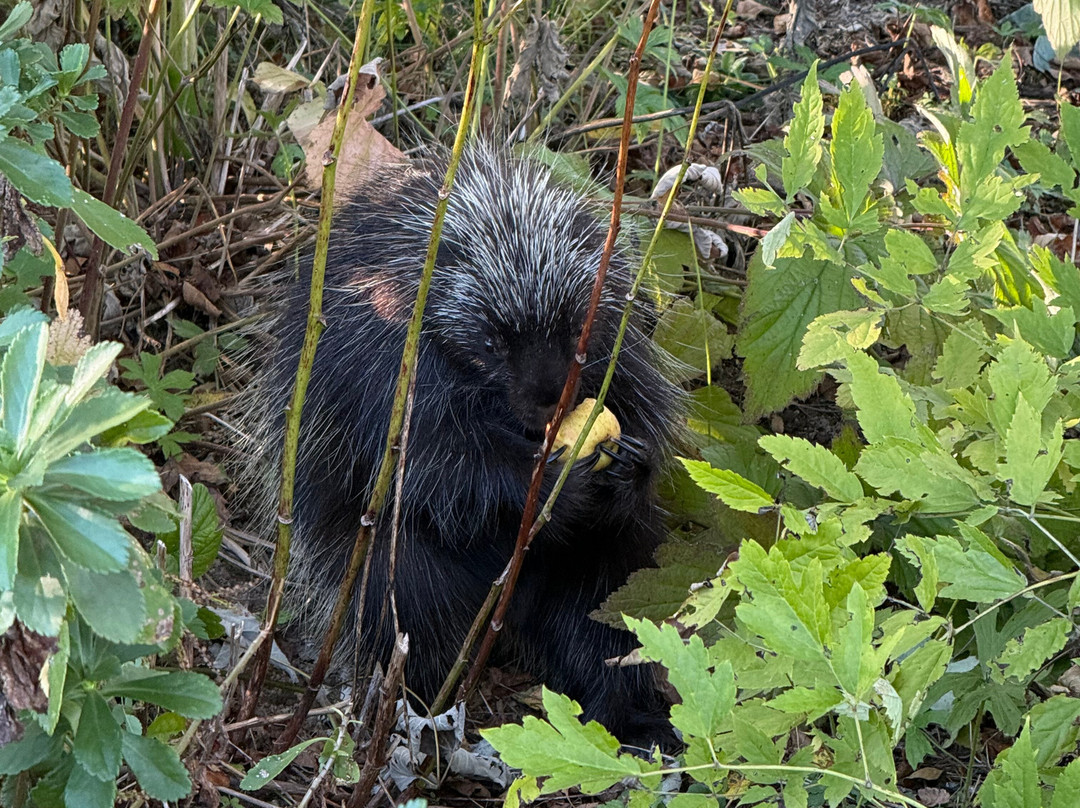 Blueberry Fields Bed & Breakfast主图