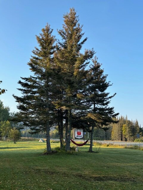 The Coach House Motel主图