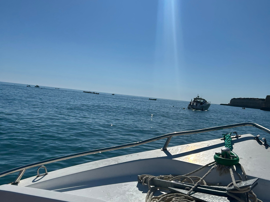 Aurora Boat Trips-阿玛考德佩拉必去景点