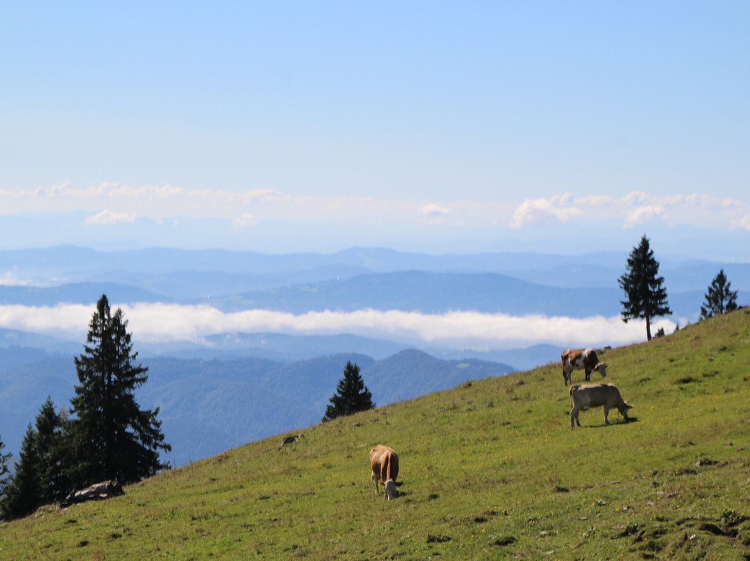 Slotrips-卢布尔雅那必去景点