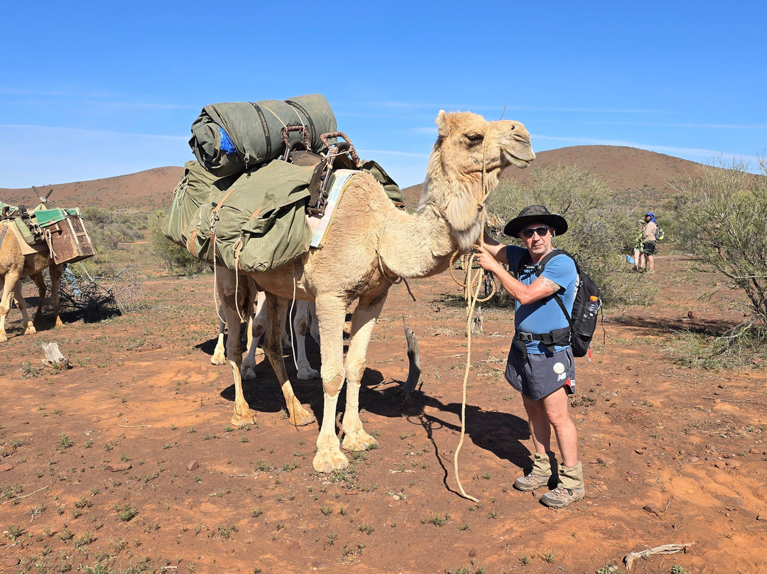 Park Trek Walking Holidays-墨尔本必去景点