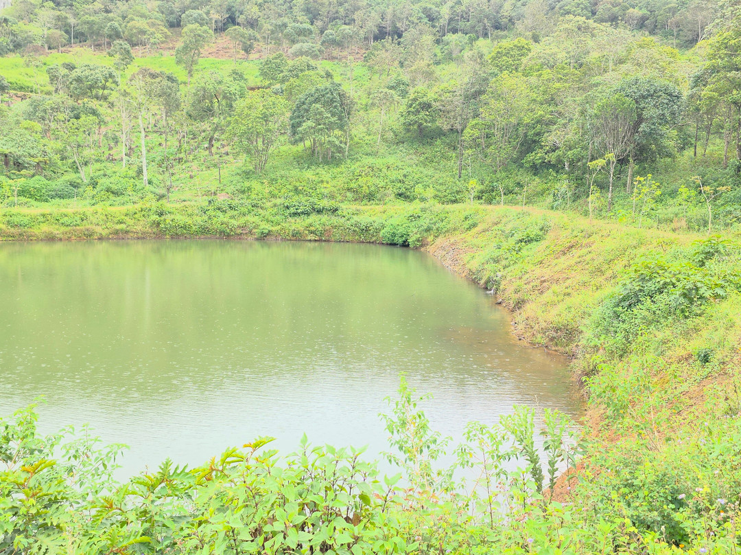 Mount Pico Resorts