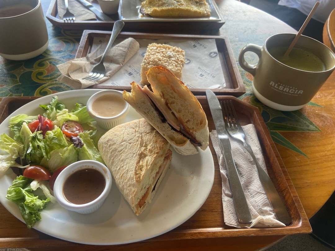 Hacienda Alsacia Starbucks Coffee Farm-Sabanilla必去景点