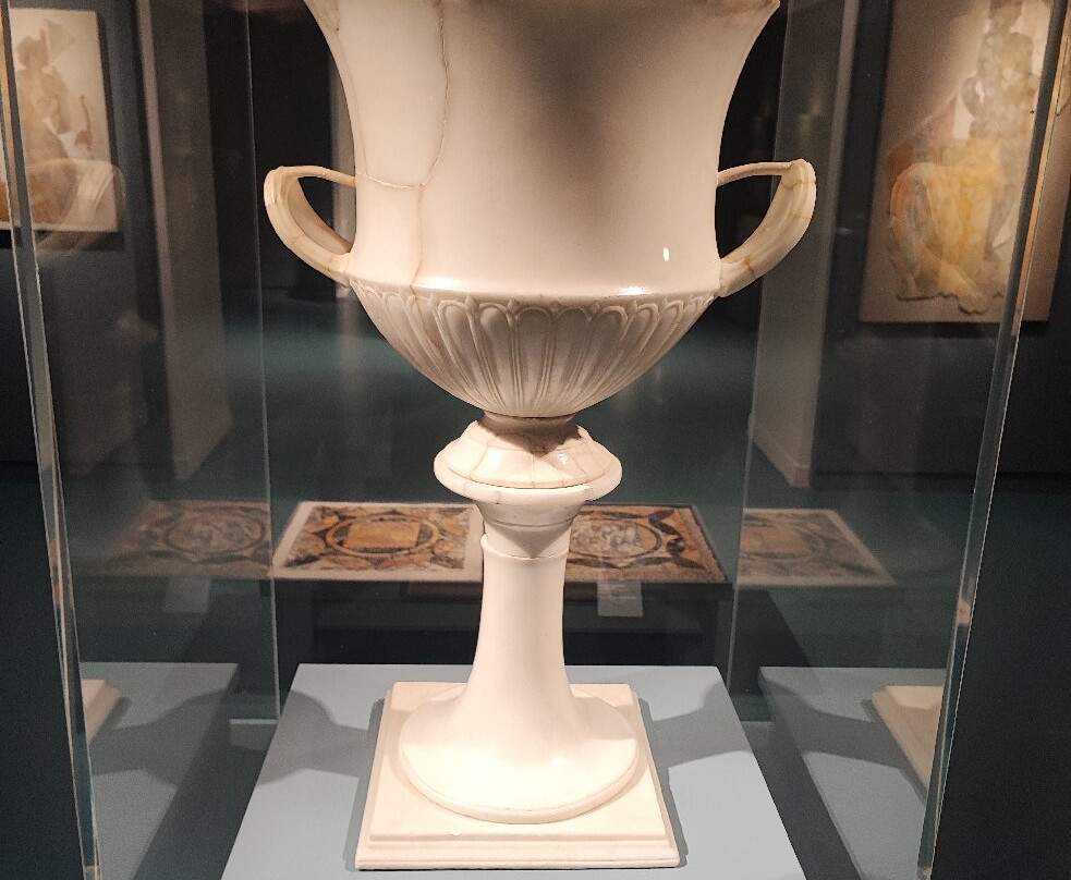 Museo archeologico di Stabiae "Libero D’Orsi"-斯塔比亚海堡必去景点