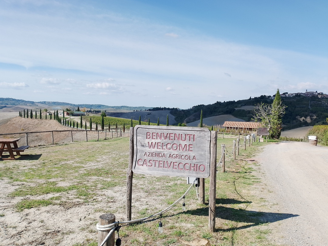 Azienda Agricola Castelvecchio-Terricciola必去景点