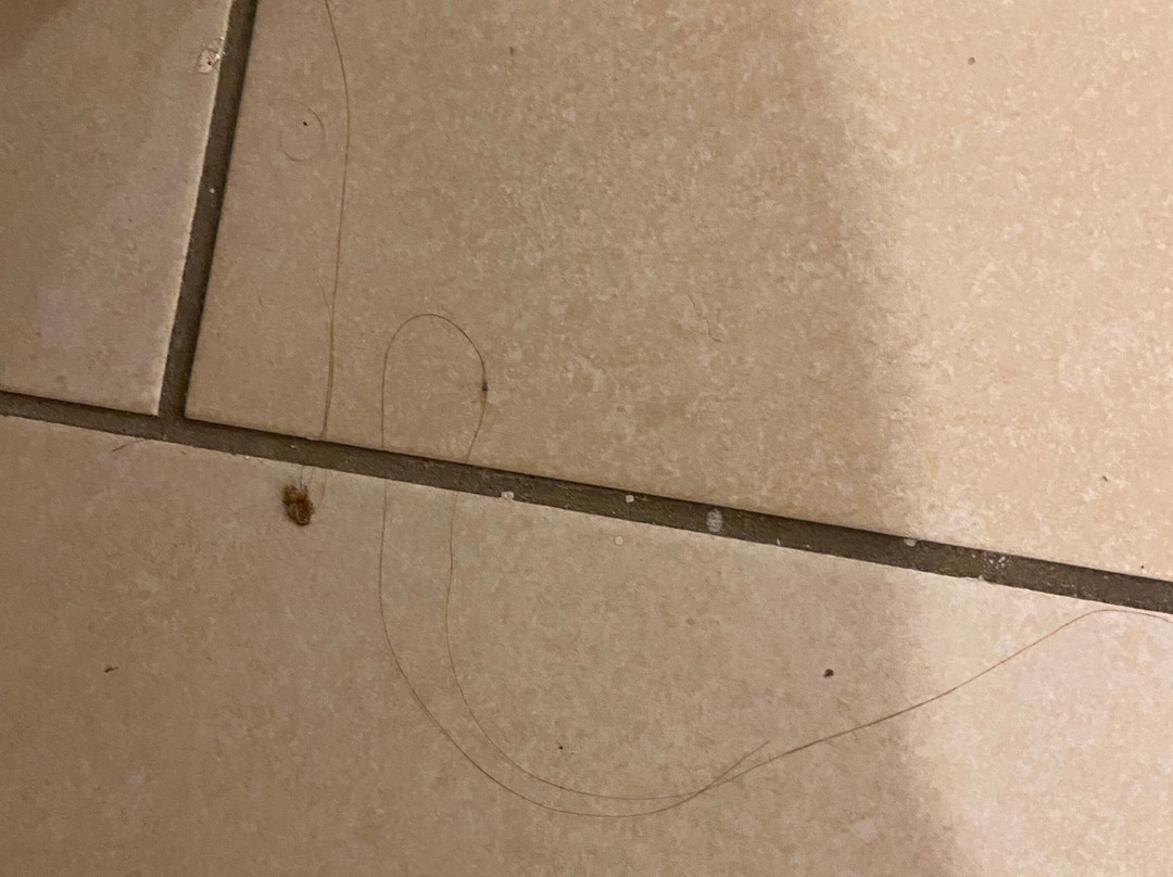 Ariana Apartments主图