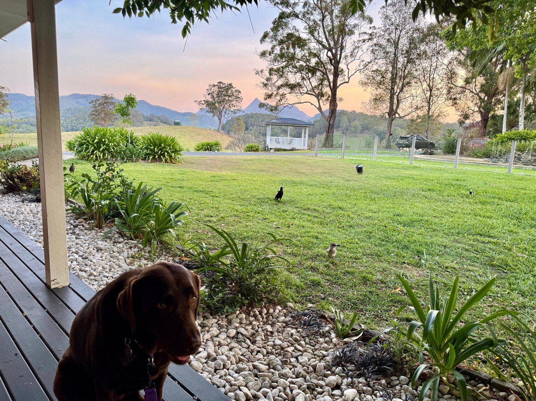 Hillcrest Mountain View Retreat主图