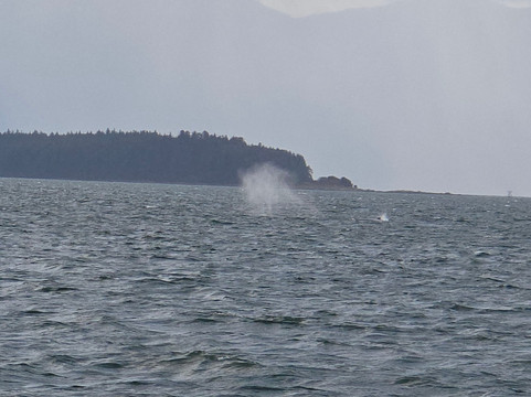 Alaska Travel Adventures-朱诺必去景点