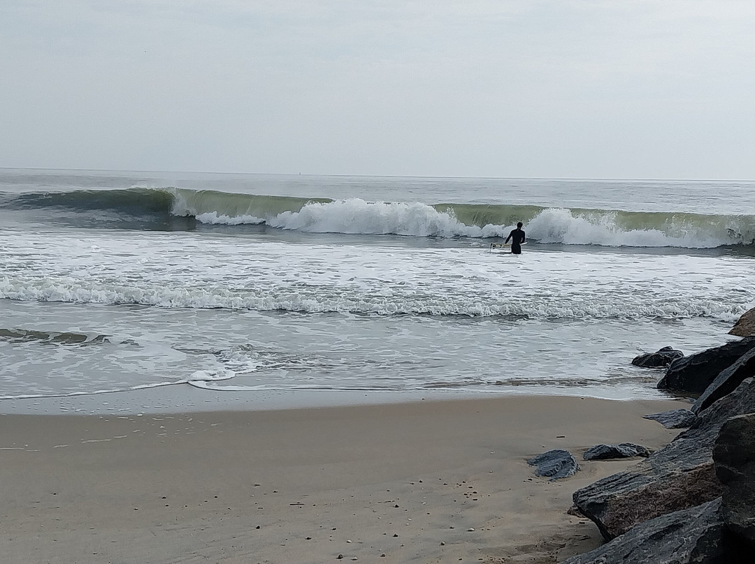 Cape Henlopen State Park-刘易斯必去景点