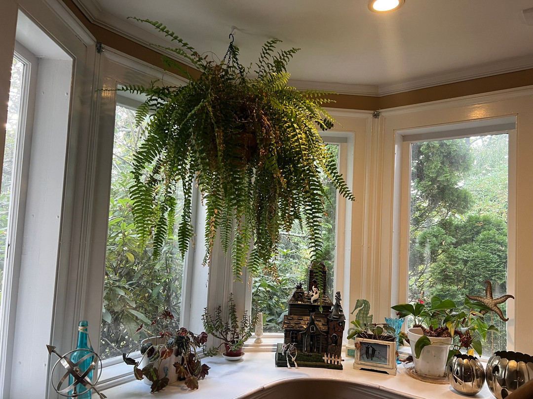 Scranton Seahorse Inn主图