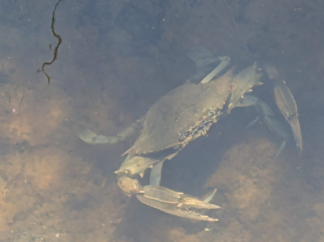 Ulcinj Salina-Ulcinj Municipality必去景点