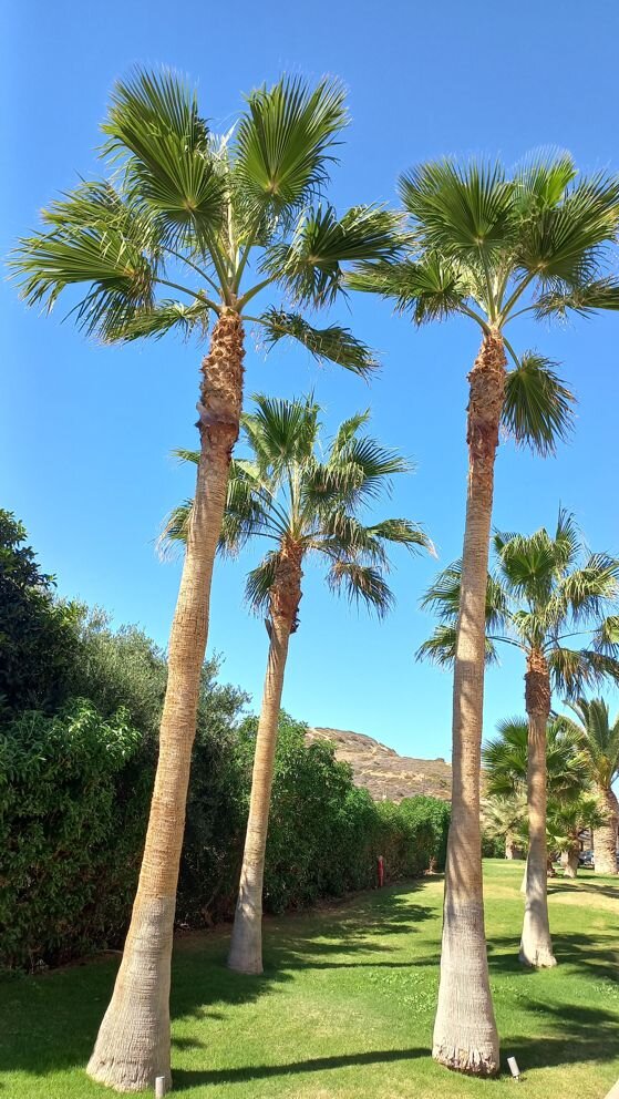 Seaside A Lifestyle Resort - Adults Only-浴室