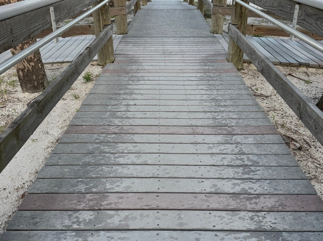 Sand Key Park-克利尔沃特必去景点