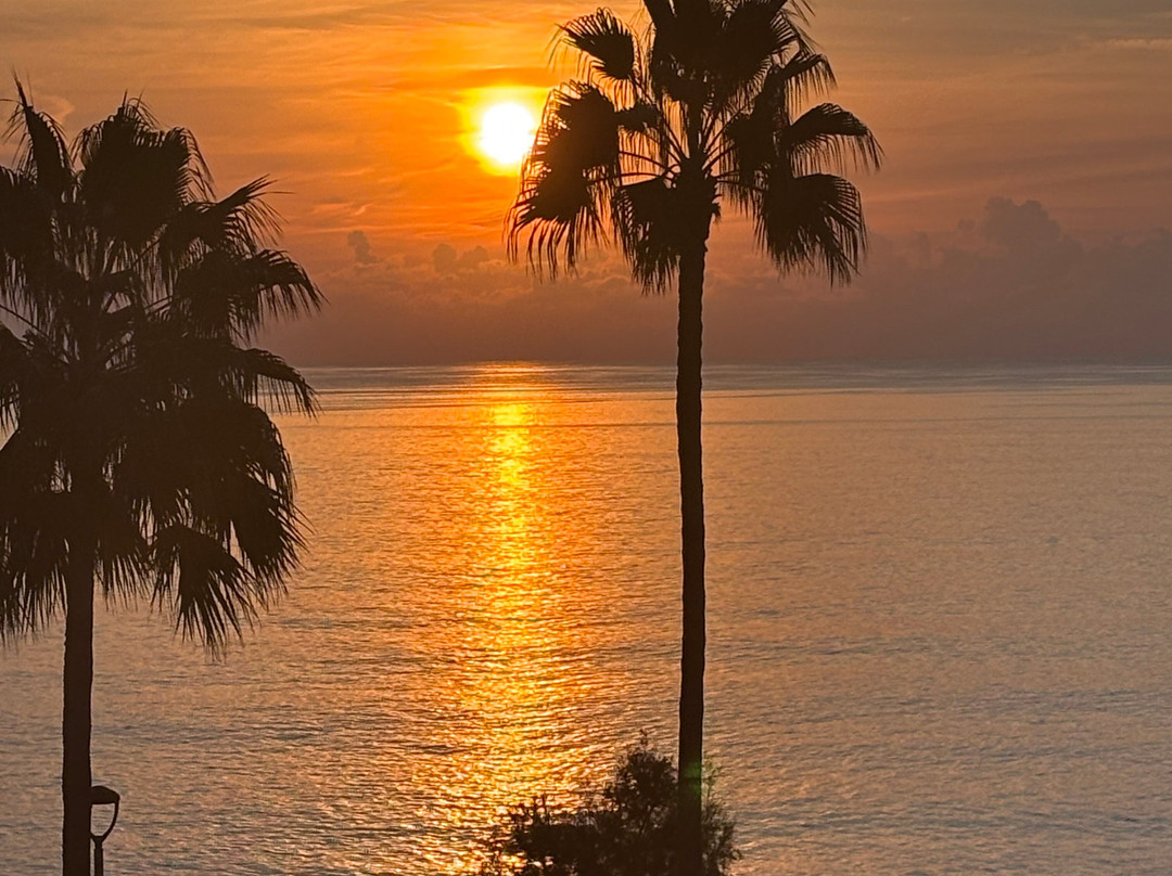 Protur Bonamar Hotel主图