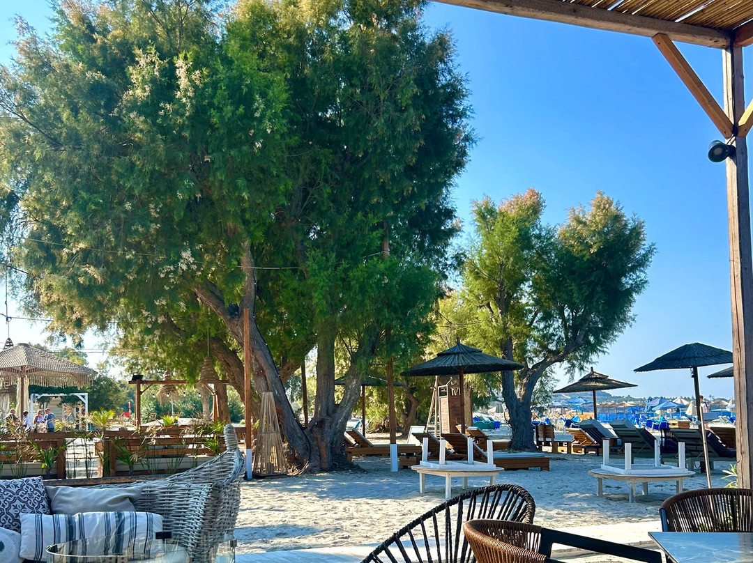 Panorama Studios主图