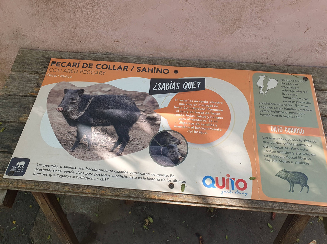 Zoologico de Quito-Guayllabamba必去景点
