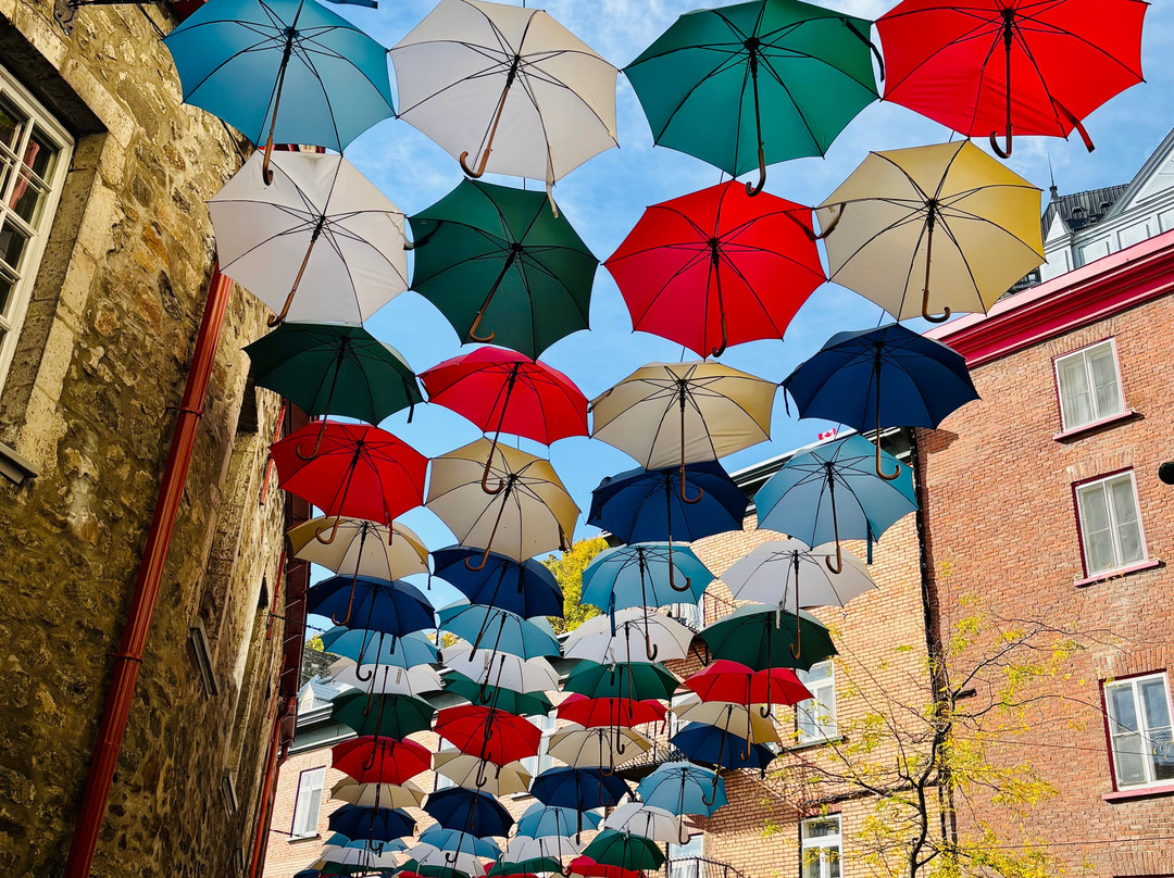 Umbrella Alley-魁北克市必去景点