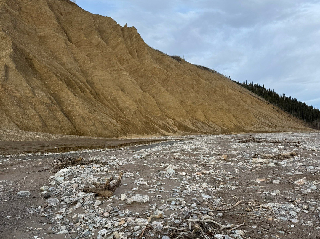 Black Diamond ATV Tours-德纳利国家公园和自然保护区必去景点