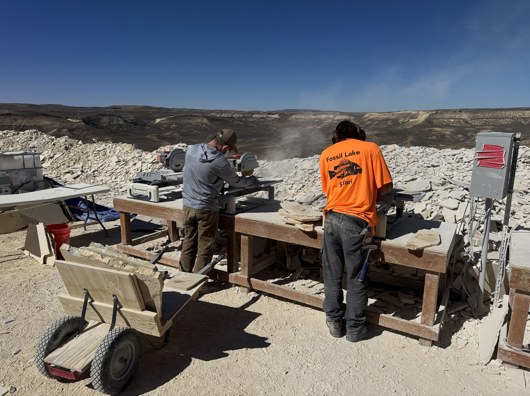 Fossil Lake Safari By Fossilera Adventures-Kemmerer必去景点