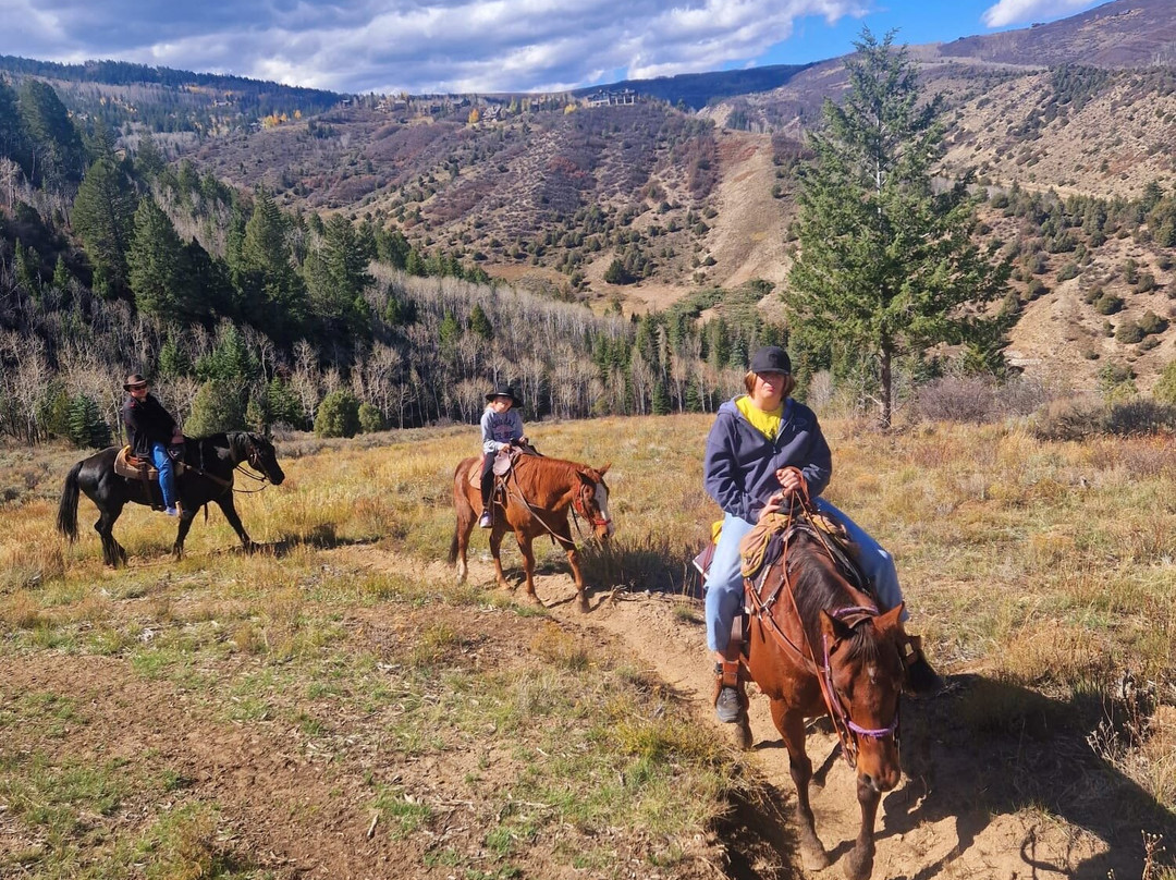 Bearcat Stables-Edwards必去景点