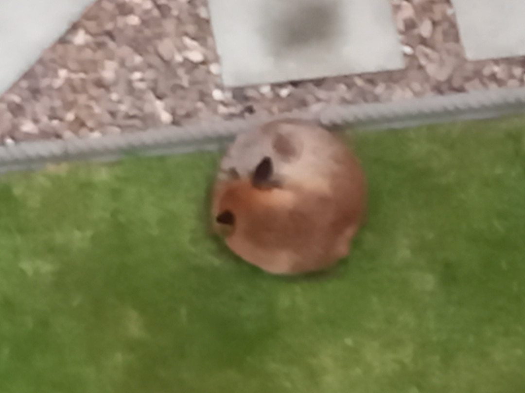 Sauna In The Lanes-布莱顿必去景点