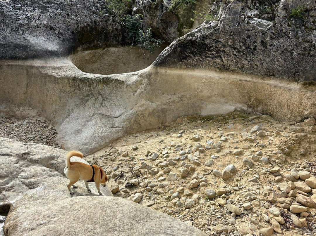 Les Petites Aiguieres-Bouquet必去景点