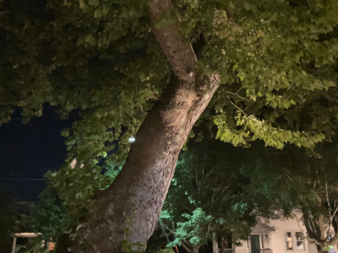 Chesapeake Ghost Tours-索尔兹伯里必去景点