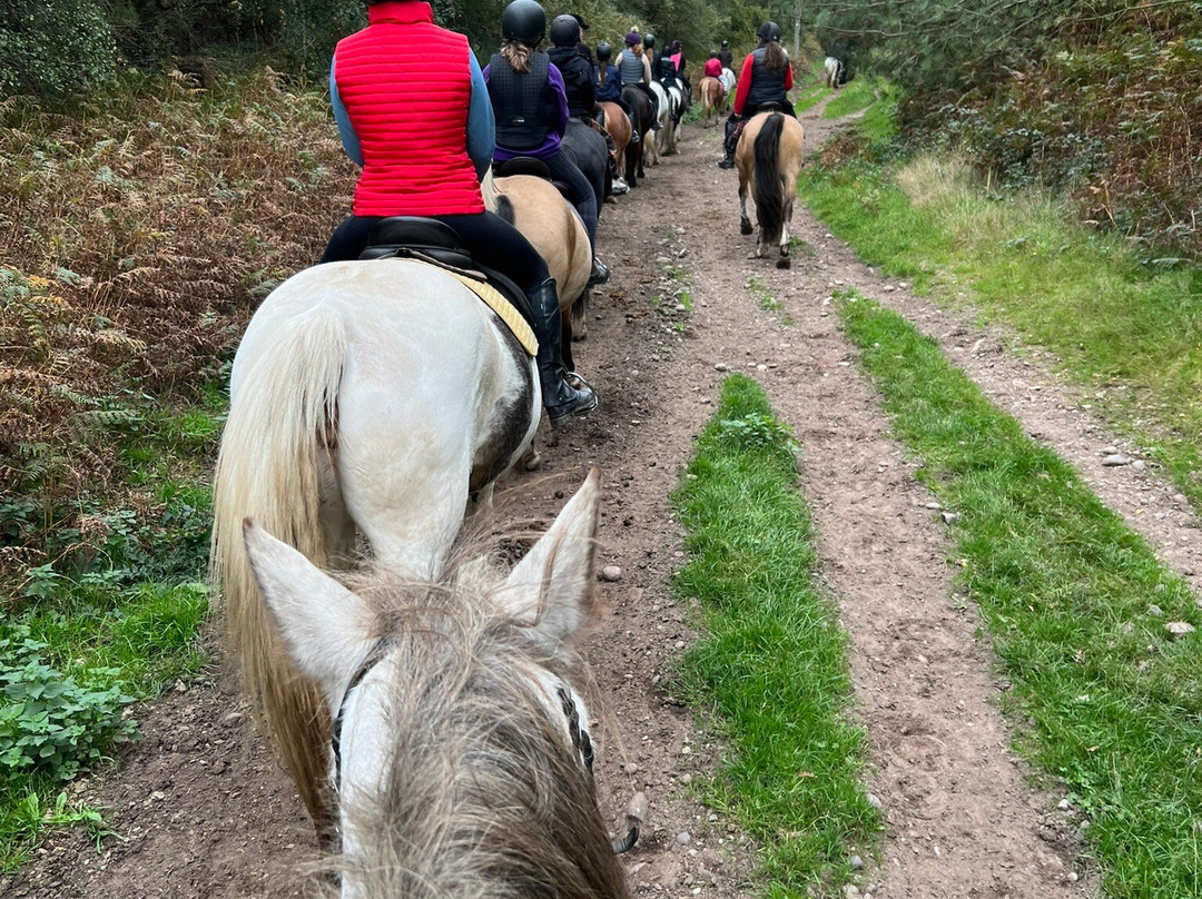 Cannock Chase Trekking Centre-Penkridge必去景点