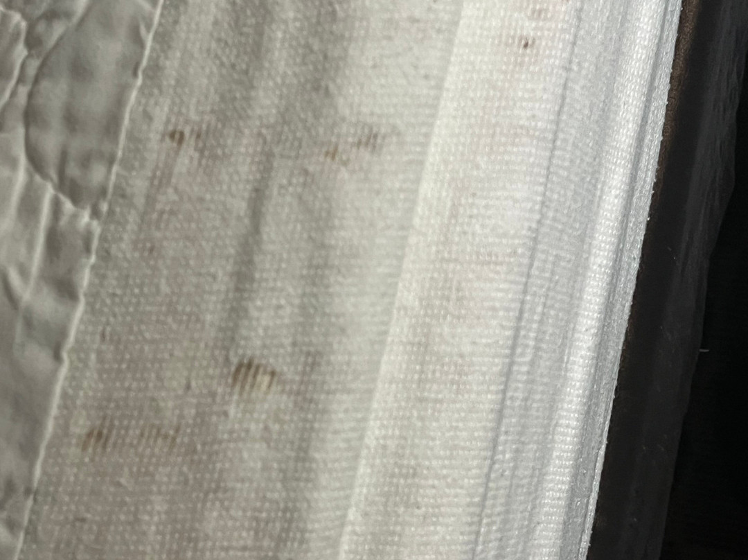 Quality Inn & Suites Boone - University Area主图