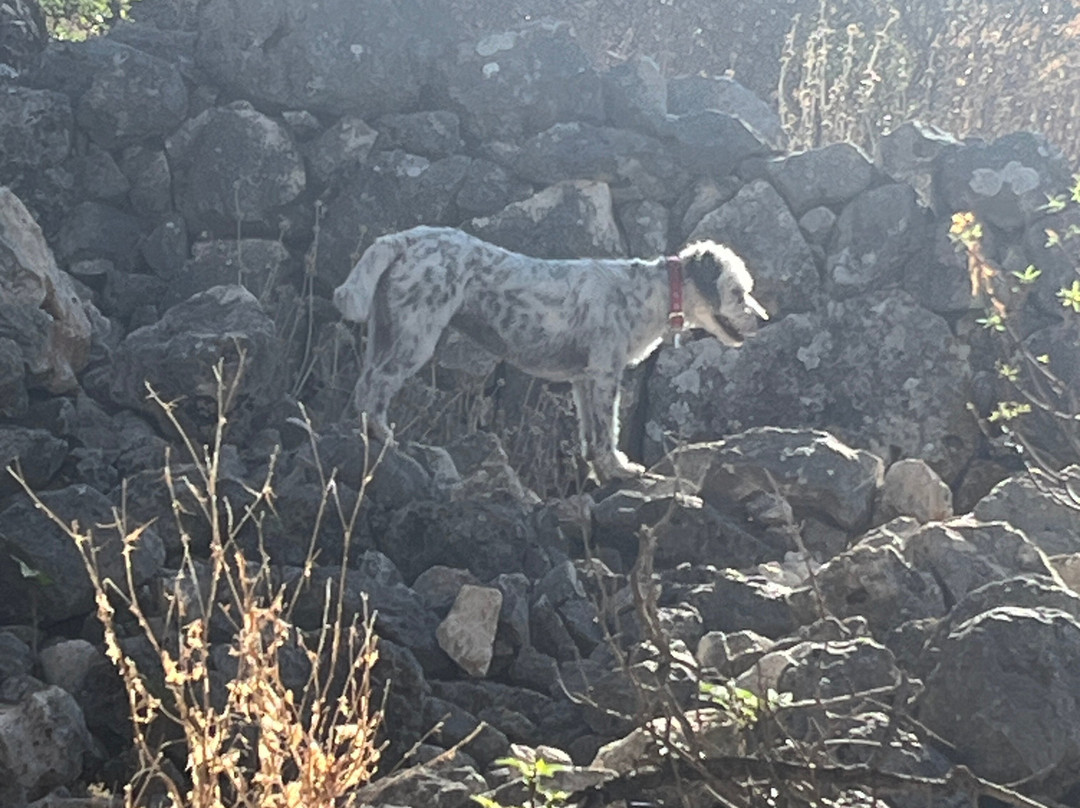 Footsteps of Farsa-Farsa必去景点