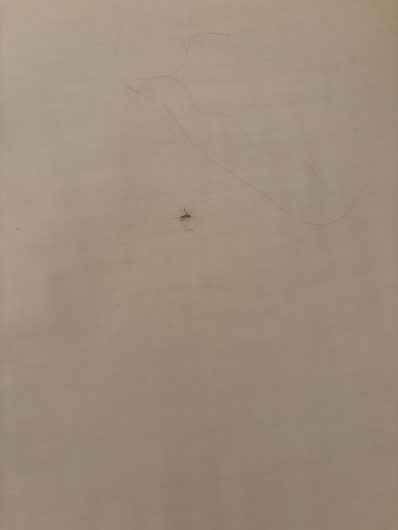 Tsampika Hotel-官方