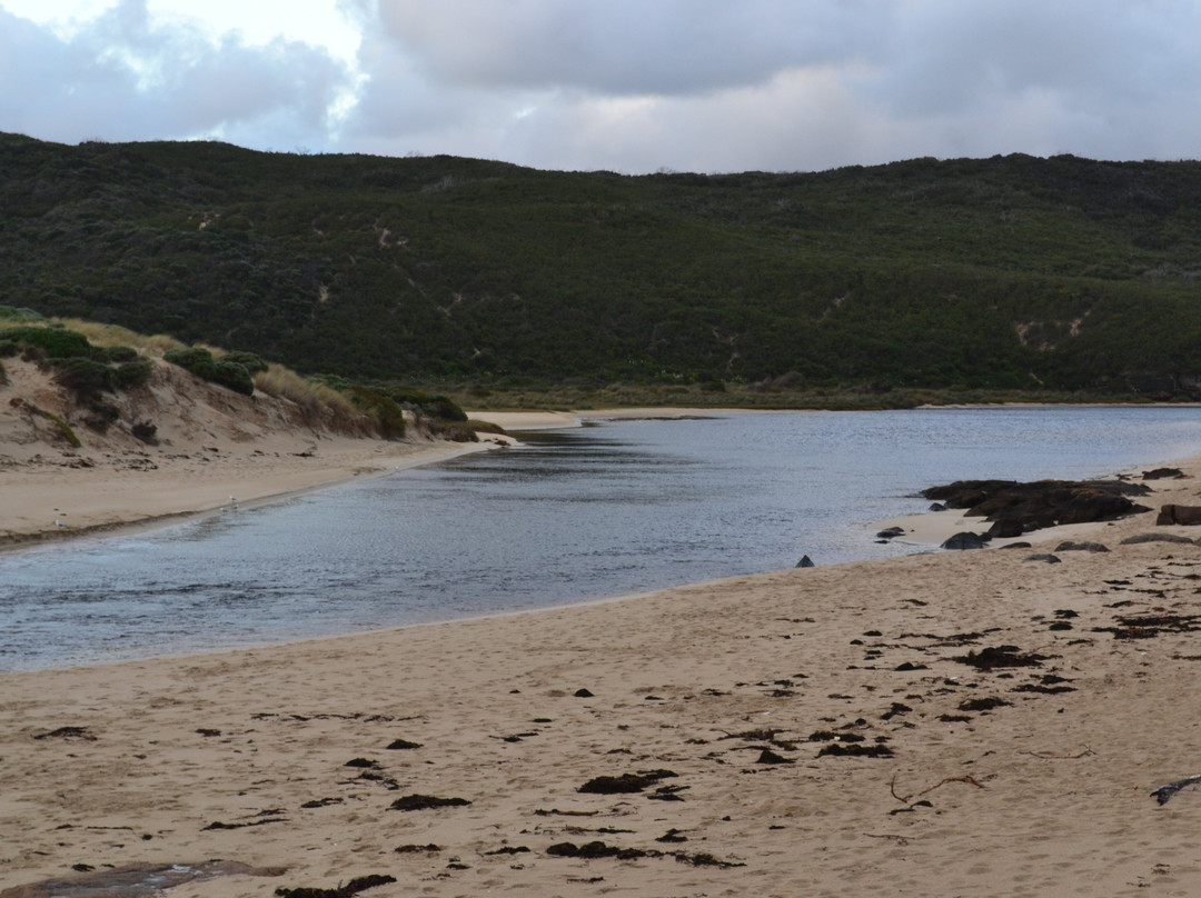 Margaret River Mouth Beach-玛格丽特河必去景点