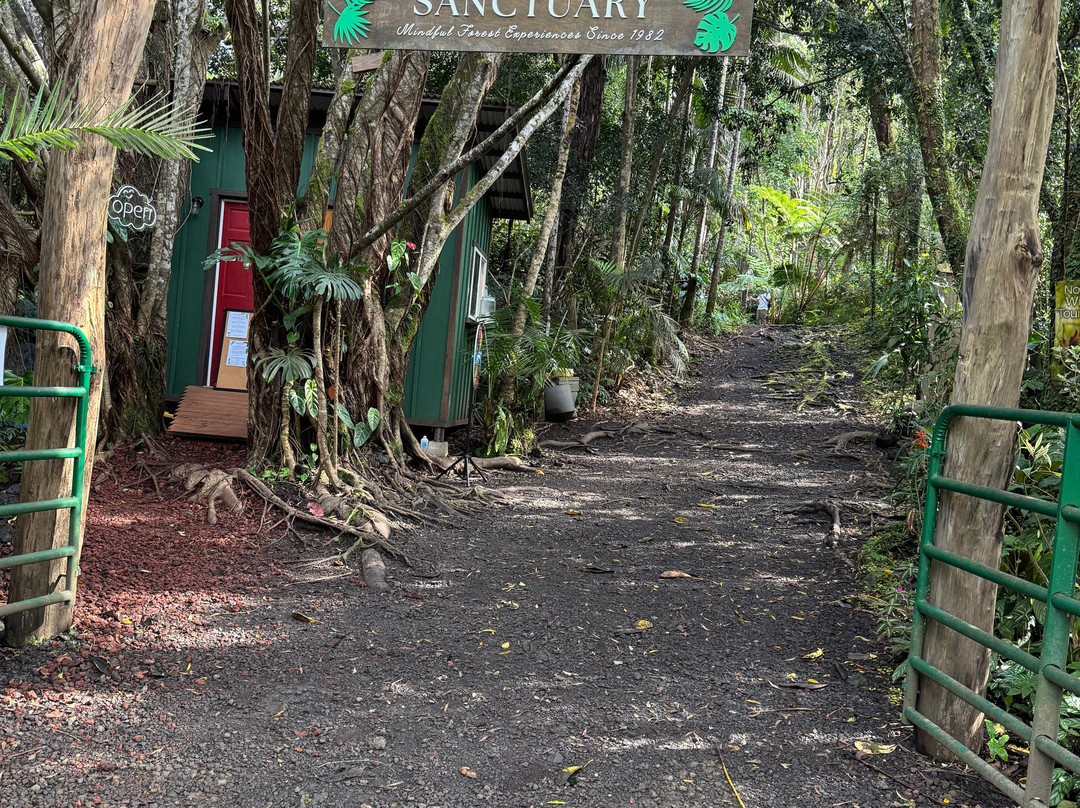 Kona Cloud Forest Sanctuary-凯鲁瓦-柯纳必去景点