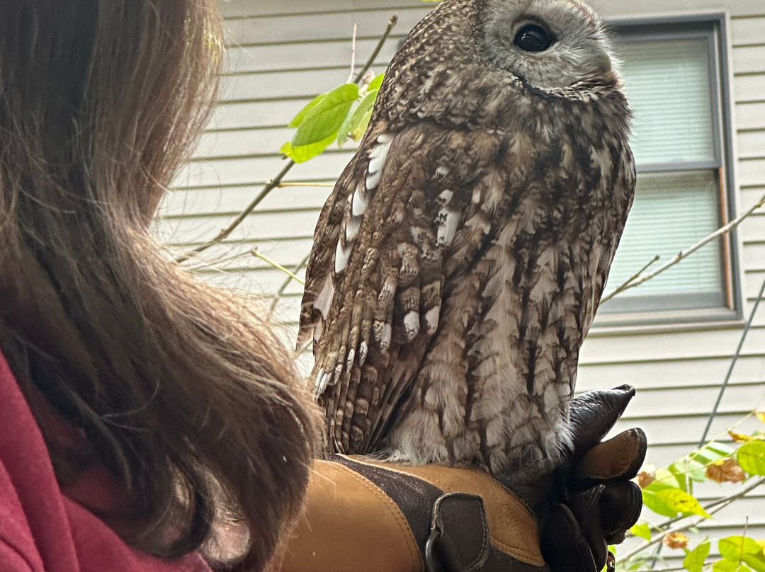 World Bird Sanctuary-Valley Park必去景点