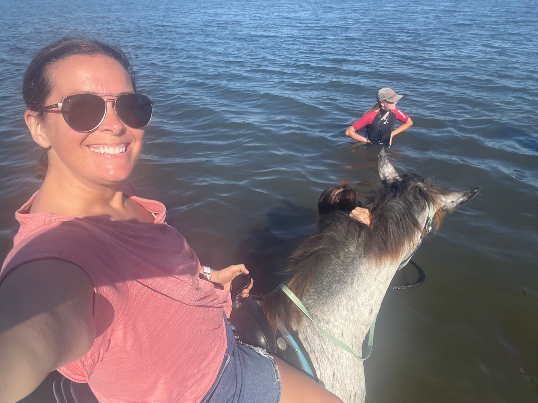 Florida Beach Horses-布雷登顿必去景点