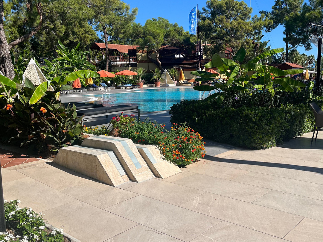 Robinson Camyuva主图