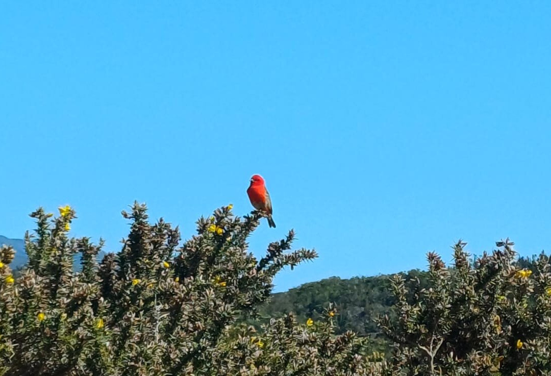 Samaran Trekking-Mafate必去景点