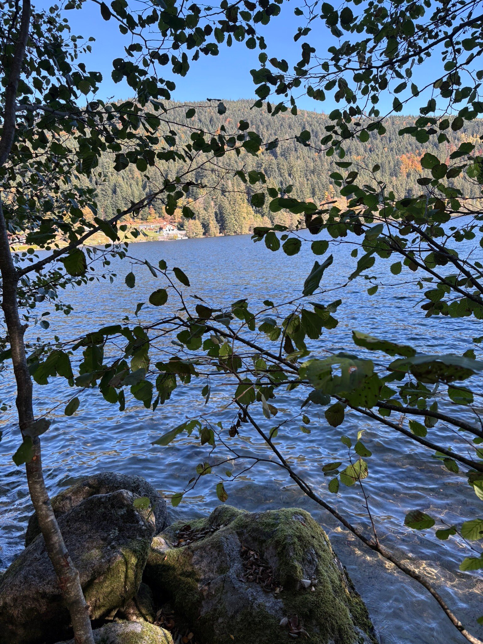 Riad Villa Blanche-官方