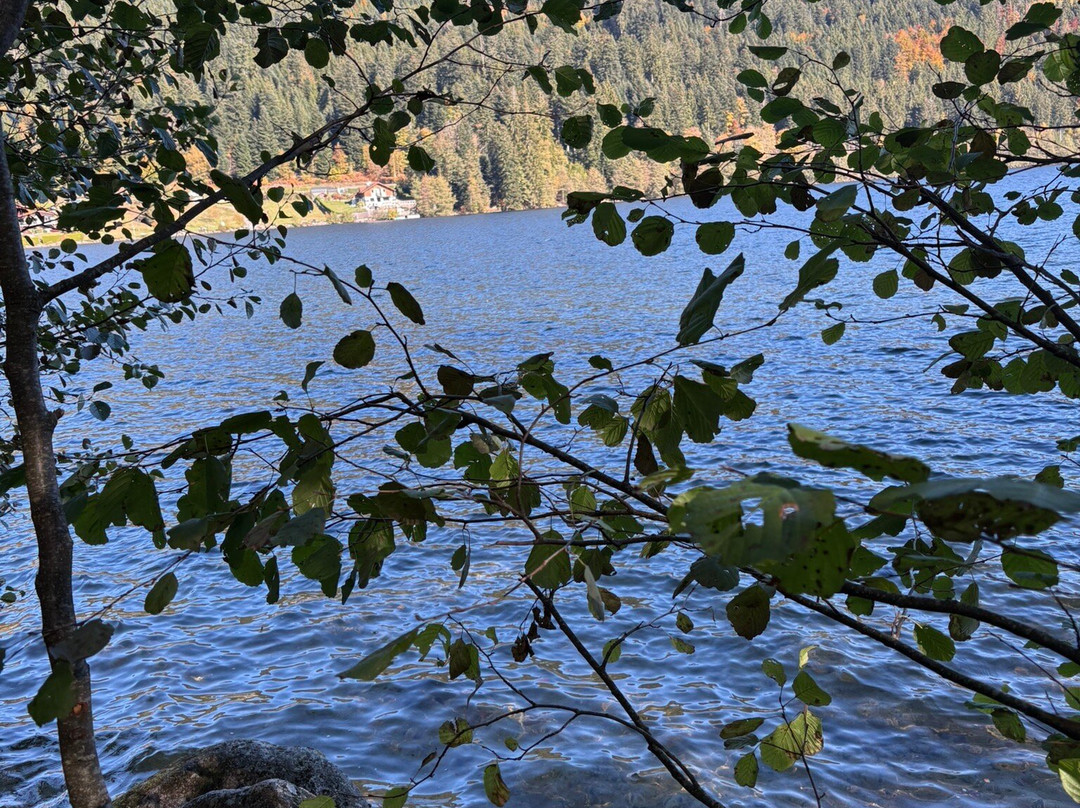 Riad Villa Blanche主图