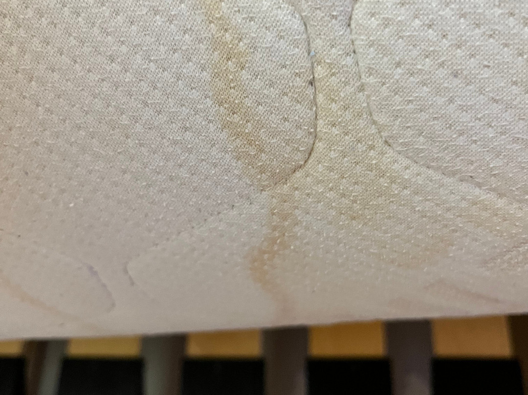 Village Normandy Garden Pierre & Vacances主图